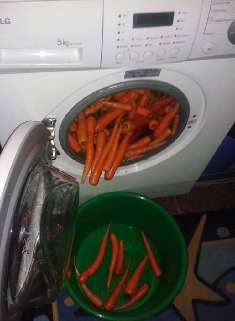 Carrots in a Washing Machine 