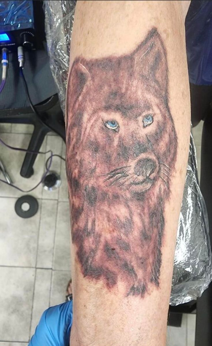 Wolf Pack Solo Edition