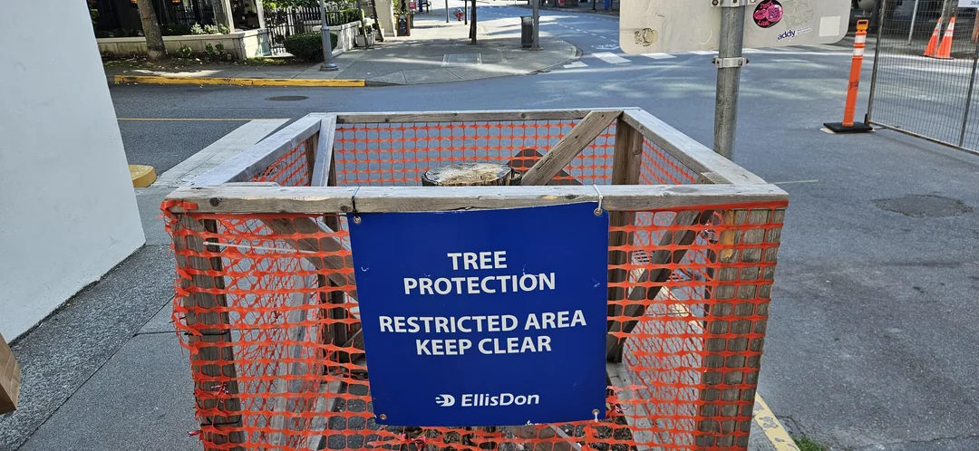 Tree protection