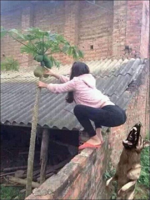 Plant Heist Gone Wrong