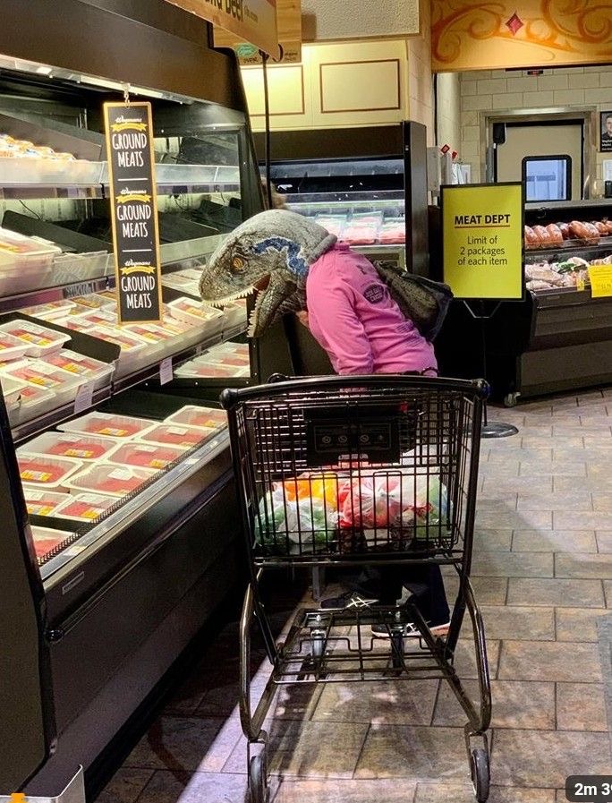 Dinosaur Woman Grocery Shopping