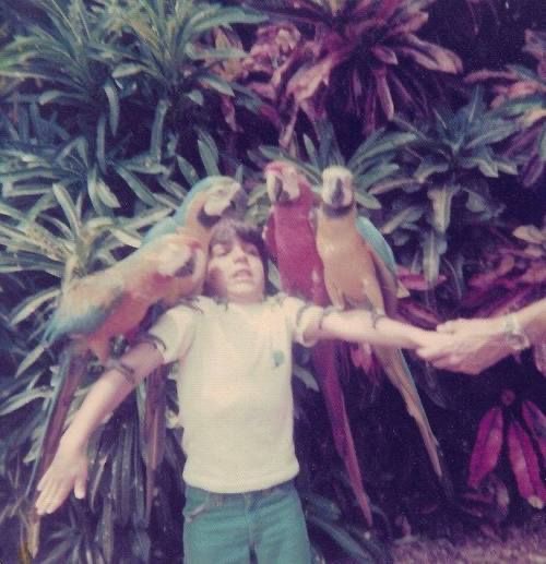 Boy Covered in Parrots