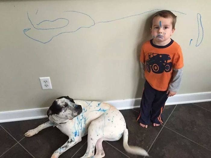 Kid Paints Wall, Dog, and Self