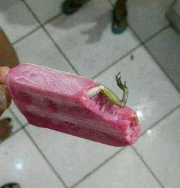 Frog-Flavored Ice Cream Delight
