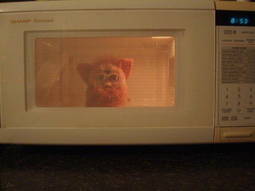 Furby in the Microwave