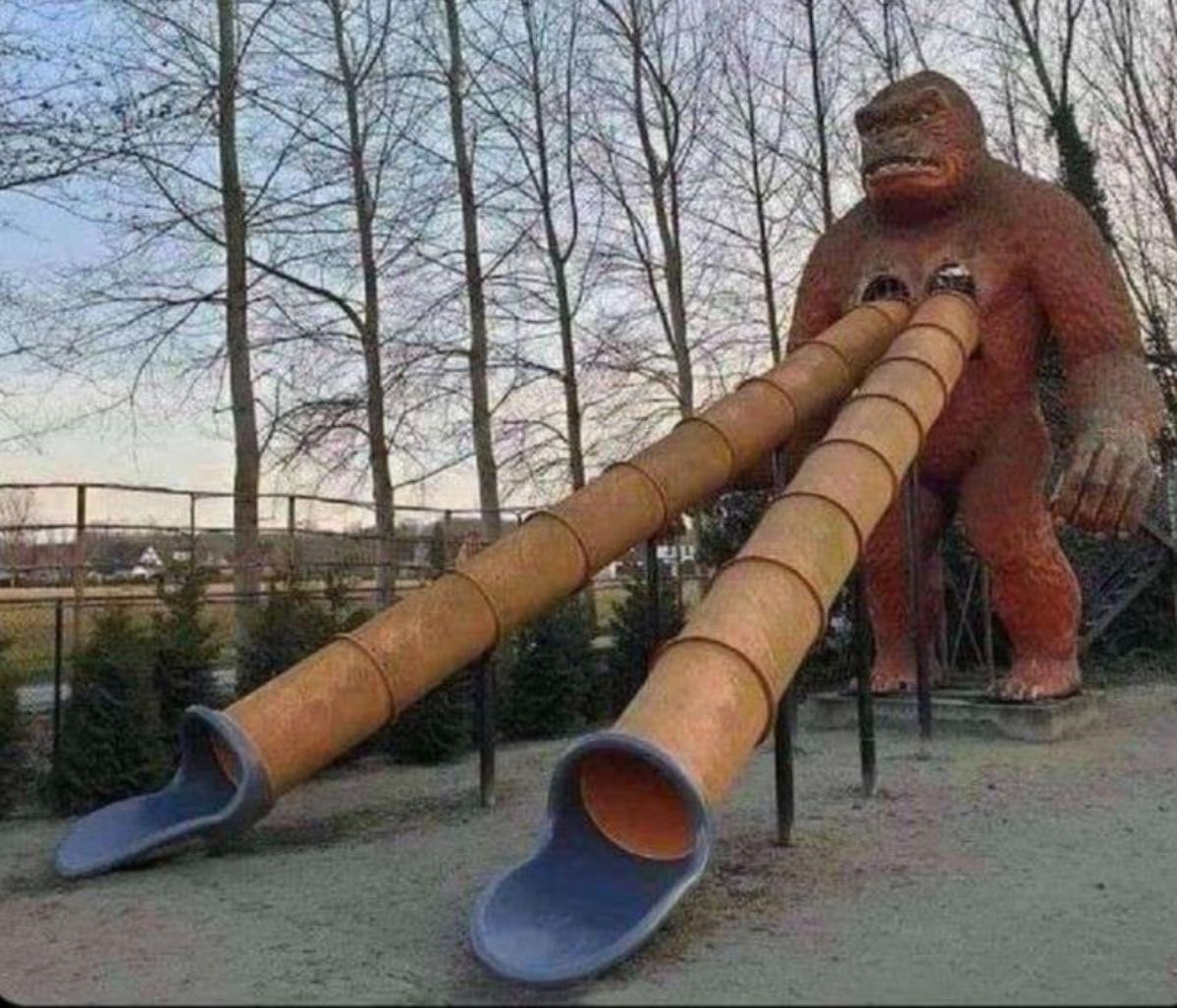 King Kong’s Slide of Shame