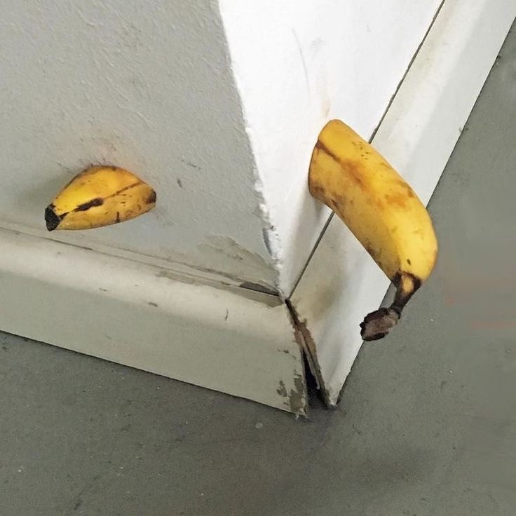 Banana Breaks Through Wall