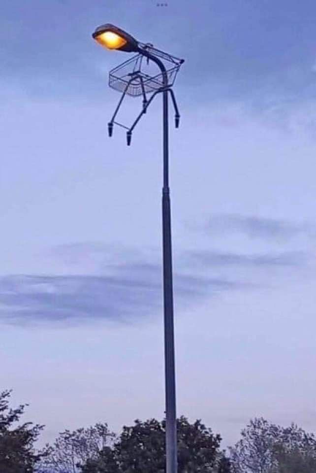 Shopping Cart Stuck on a Streetlight