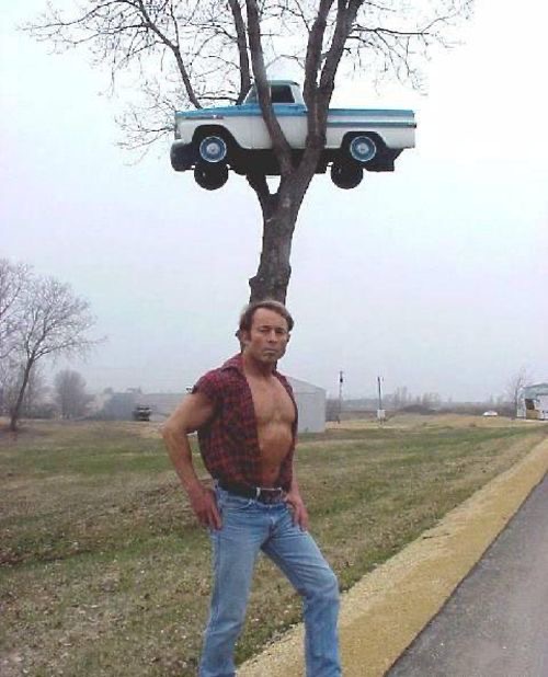 Truck Stuck in a Tree (Man Poses Proudly)
