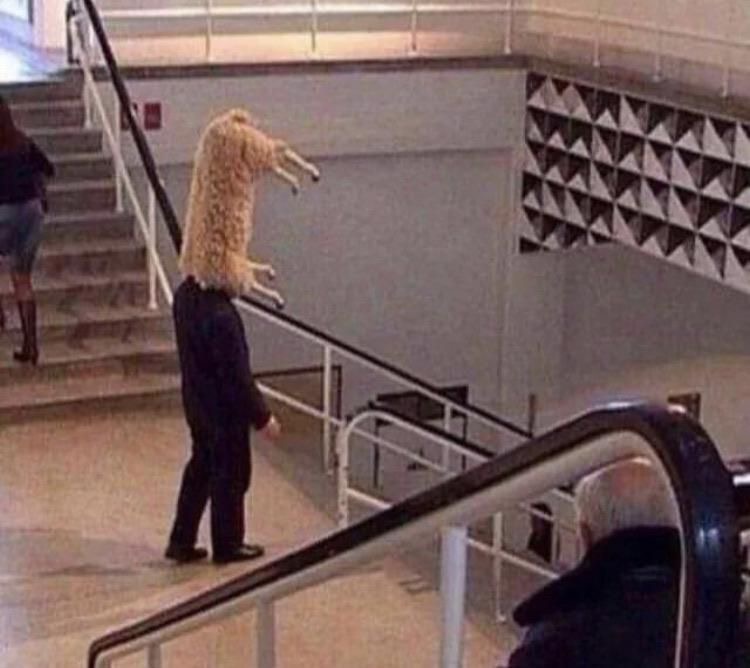 Person with a Sheep’s Body for a Head