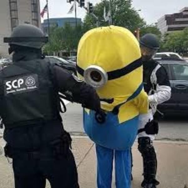 Minion Taken into Custody