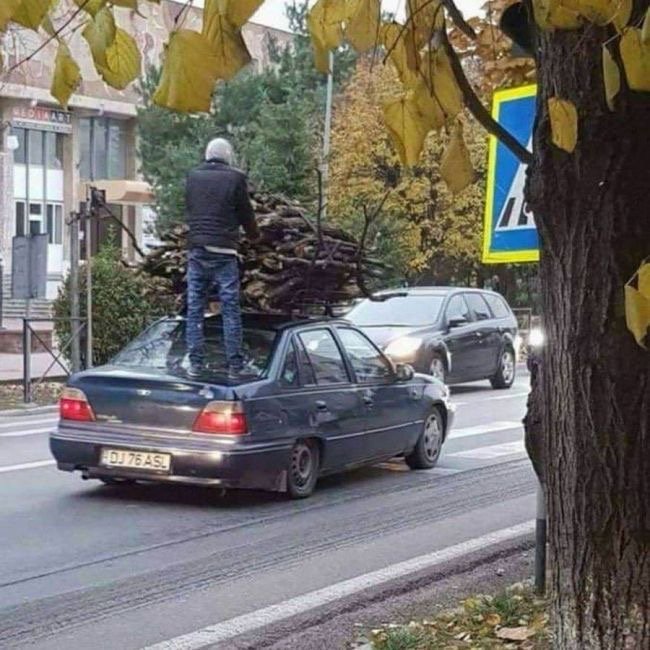 Man Standing on Moving Car Full of Branches