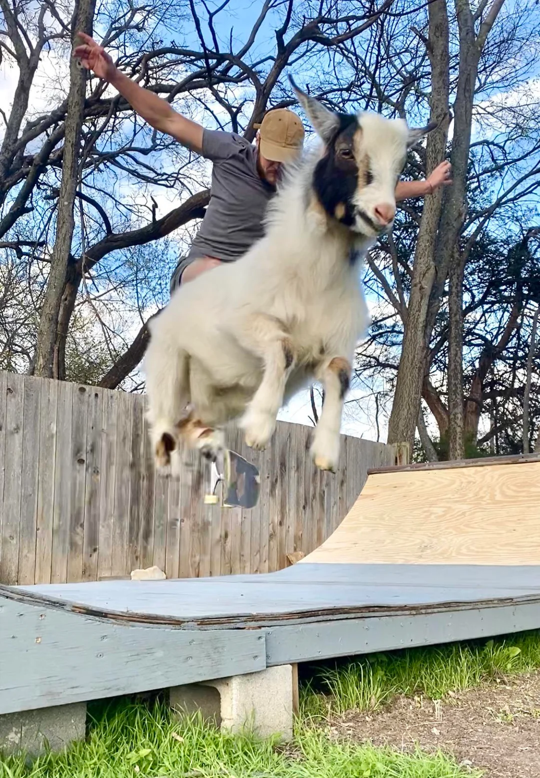 GOAT skater