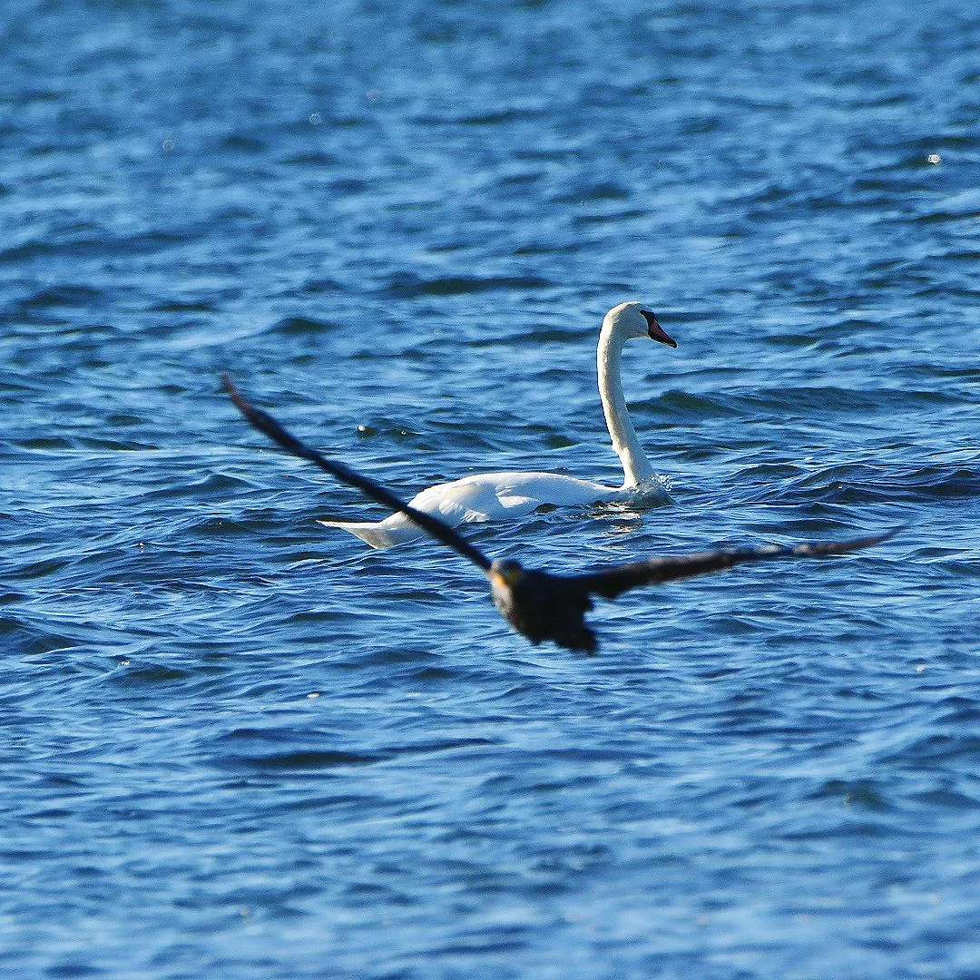 20 Photos Taken at the Absolute Perfect Moment