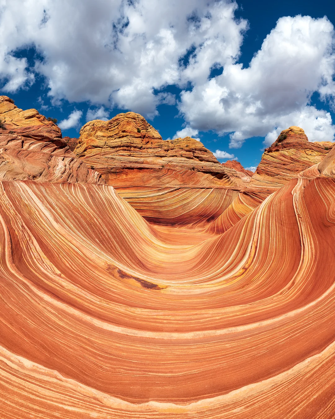 Sandstone brushstrokes