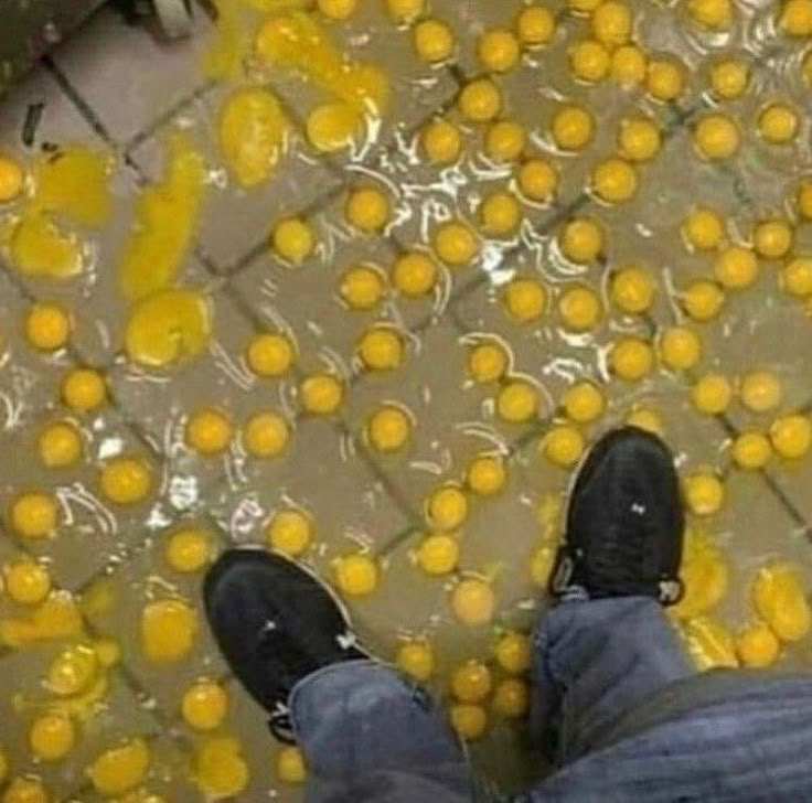Dozens of Eggs on the Floor