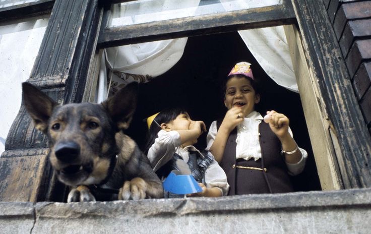 Children and Dog at the Window