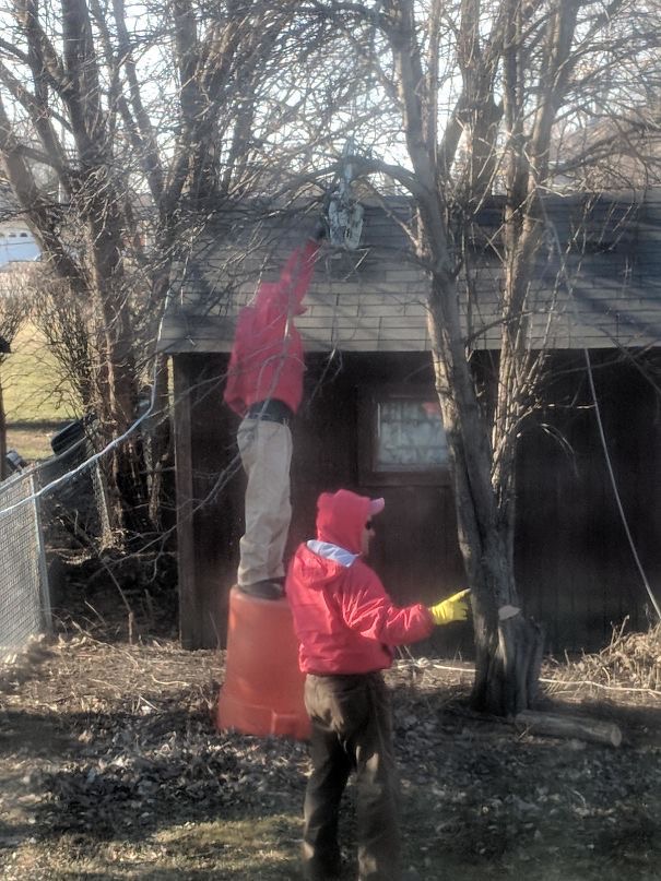 Chainsaw + Plastic = Darwin Season