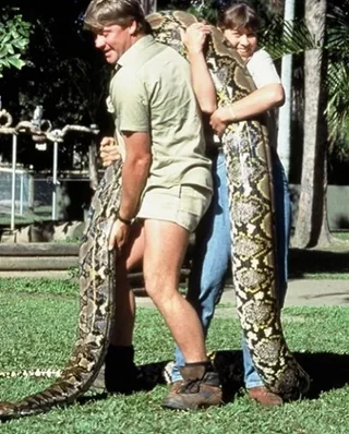 Nature's biggest fan