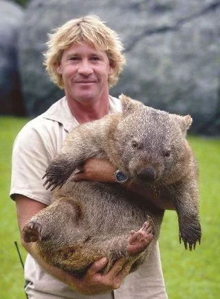 Wombat Steve
