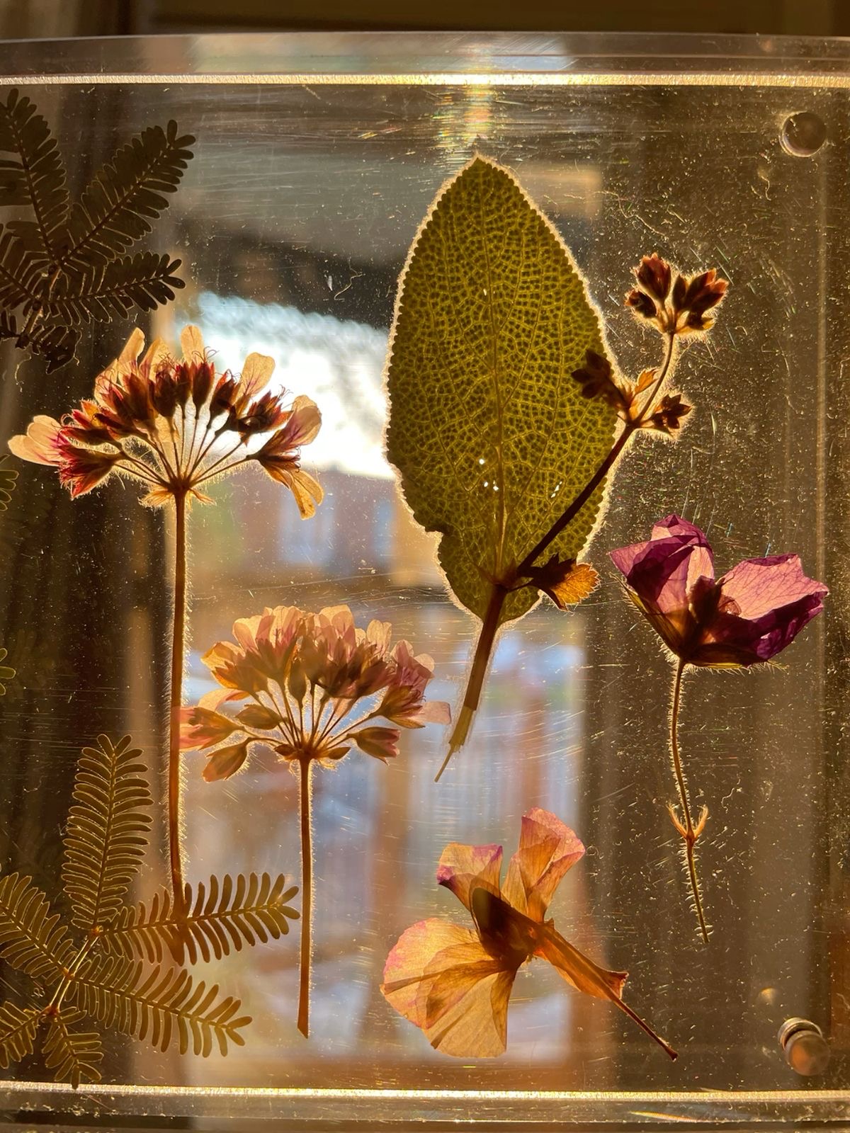 Flower Pressing & Nature Crafts