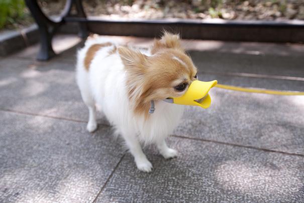 Duck muzzle for dogs