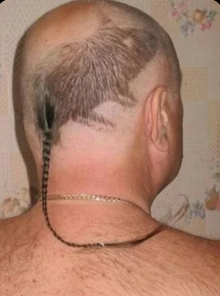 Questionable hairstyle