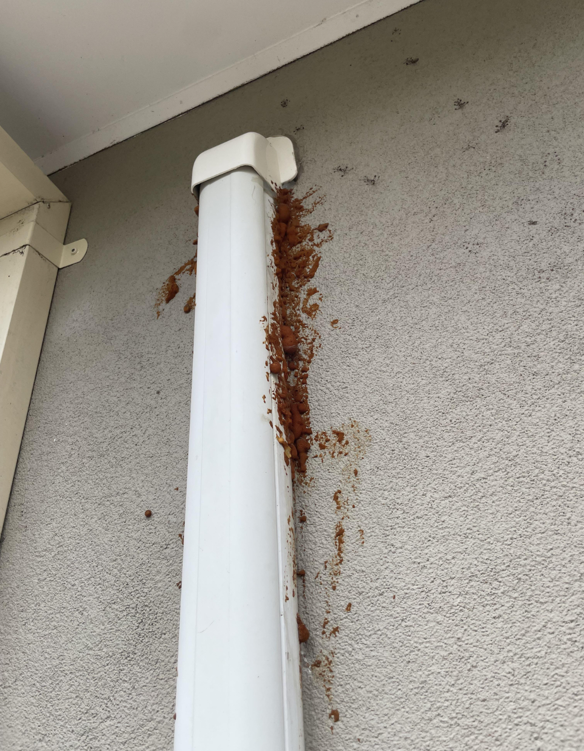 “—Found on a property we are interested in buying. What is it?!”