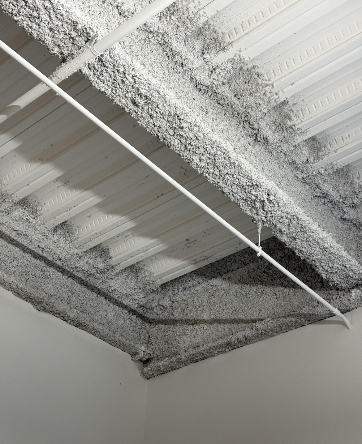 “—What’s on my school cafeteria’s ceiling?”