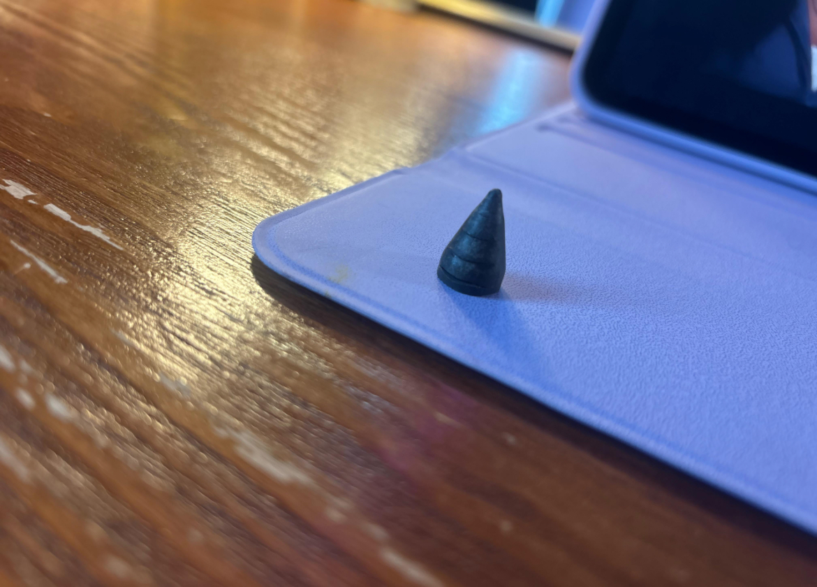 “—Found this in my hot and sour soup… What is it??”