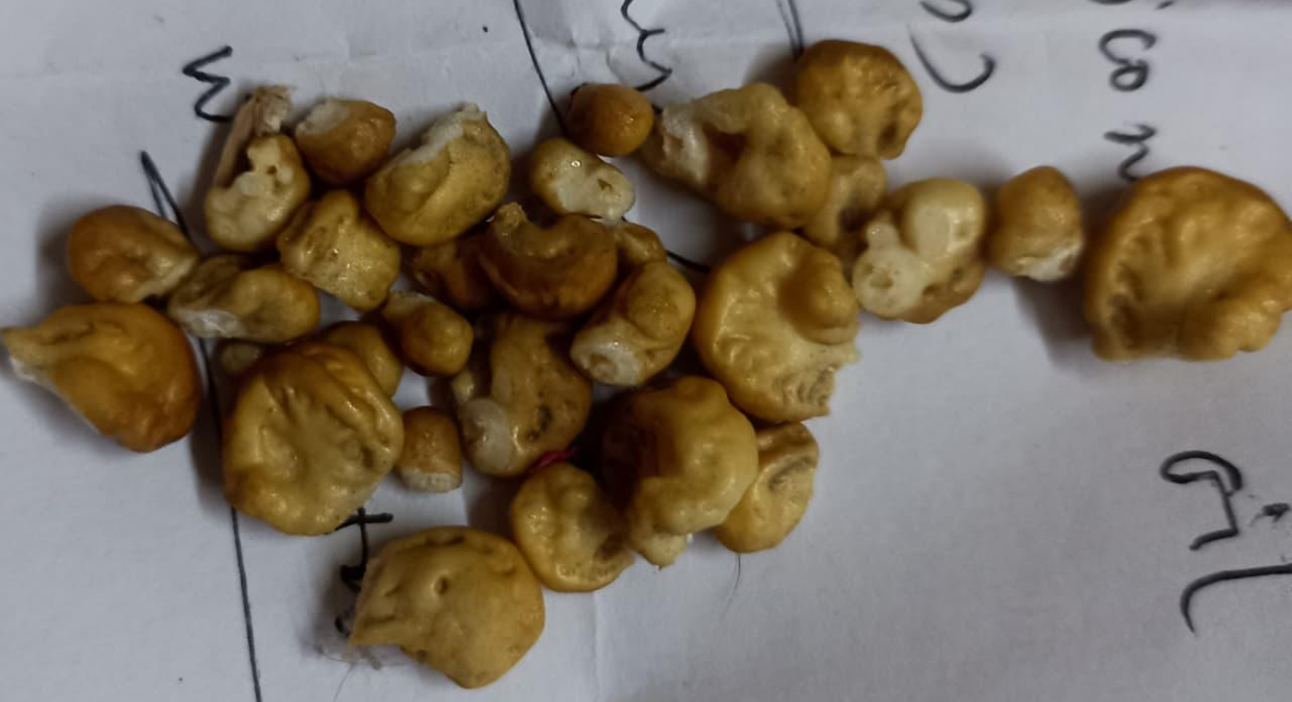 “—Found these stuck under the fridge. What are they???”