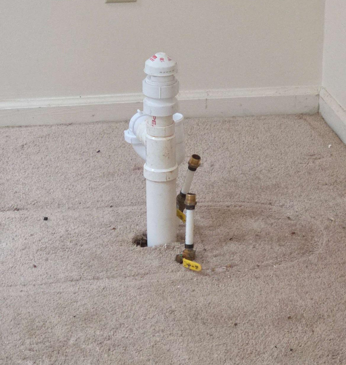 “—Renters installed… Whatever this was in the house??”