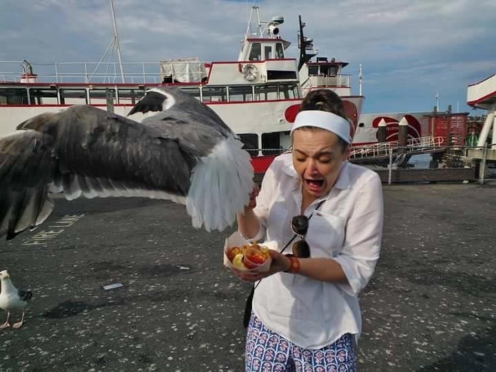 Seagull Steals the Ice Cream