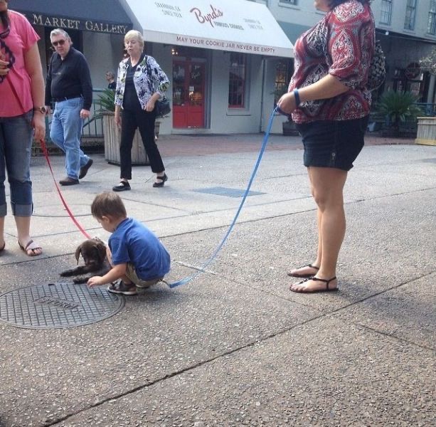 Dog on Leash, Kid on Leash
