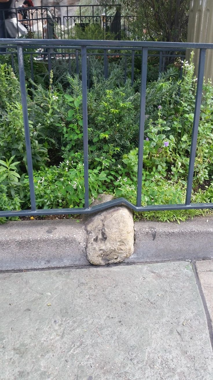 The Rock in the Fence