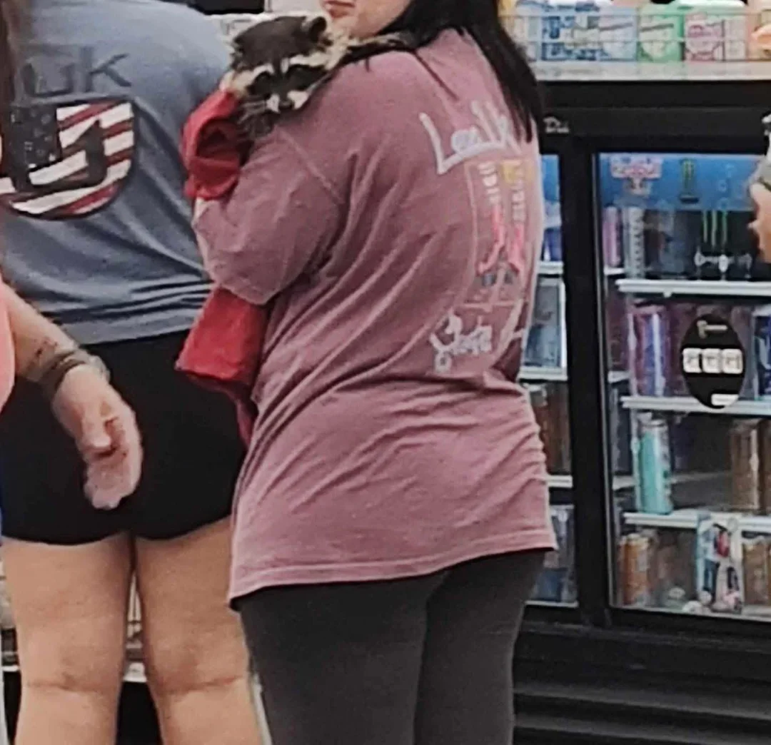 Emotional support raccoon