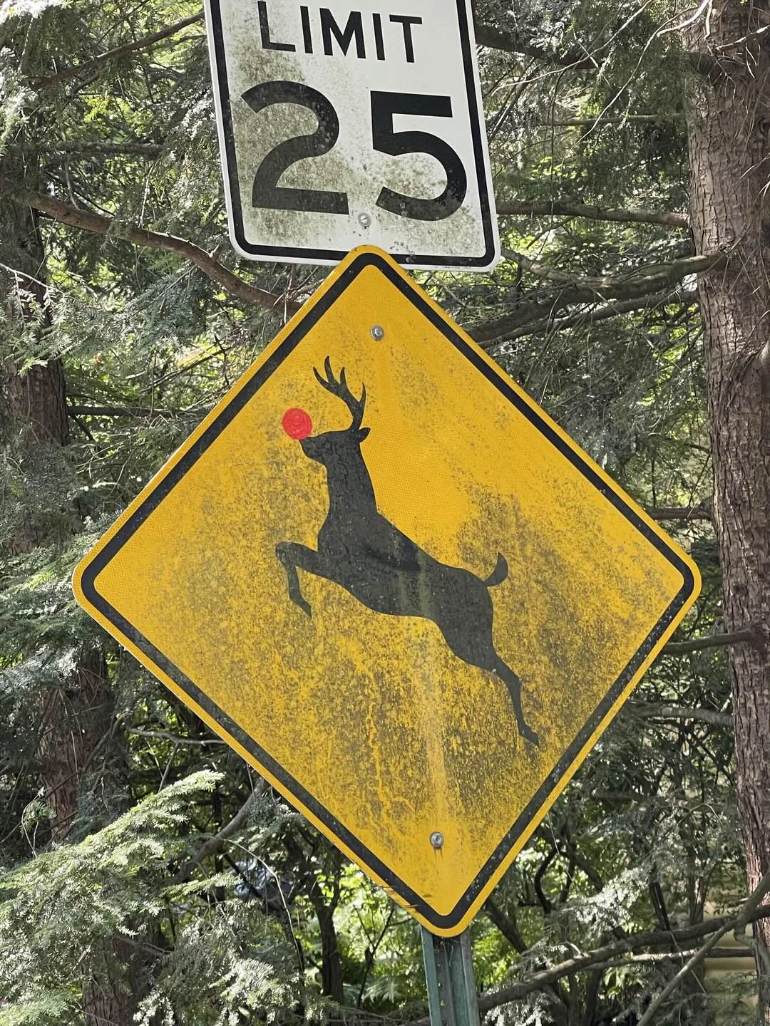 Rudolph crossing