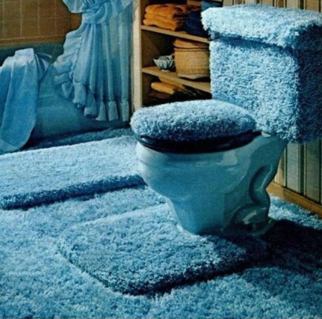 Fully carpeted bathroom