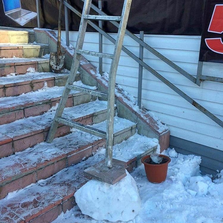 Ladder Trusting a Snowball With Its Life