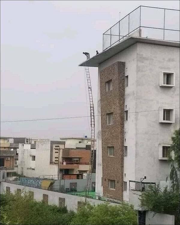 XL Ladder With the Strength of a Toothpick