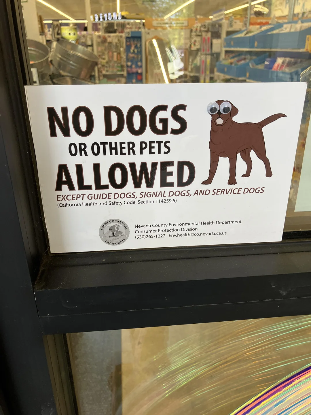 No dogs