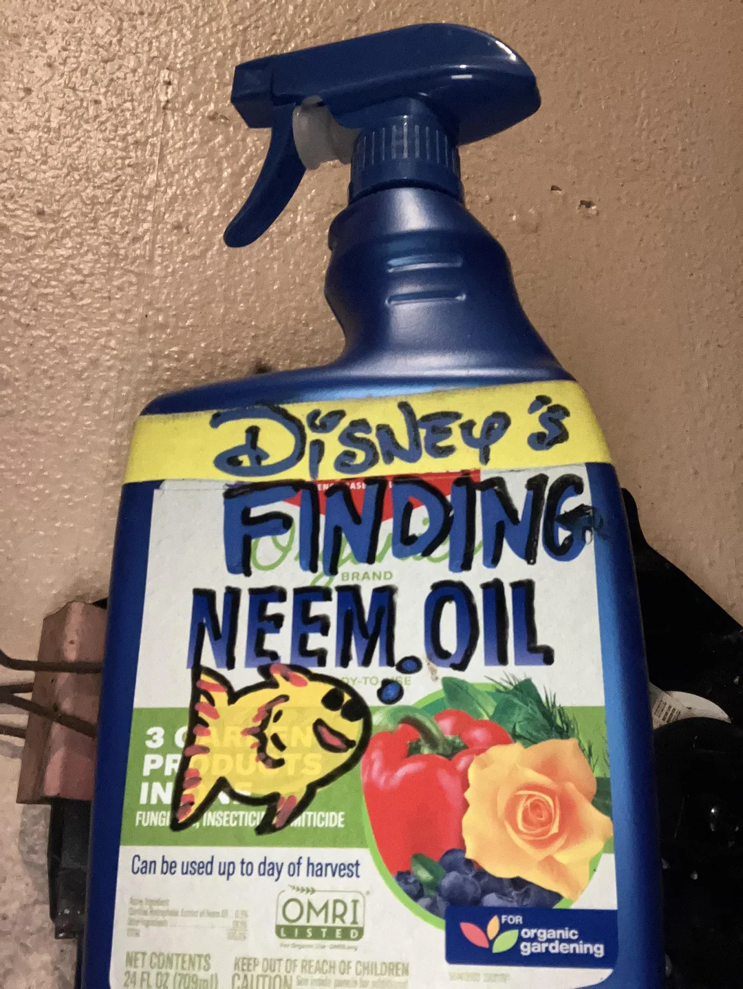 Finding neem oil