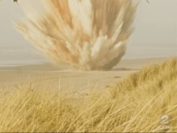 The Exploding Whale Incident (1970)