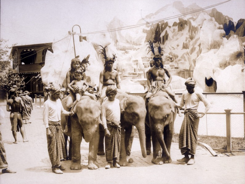 The Human Zoo Exhibitions (19th–20th Centuries)