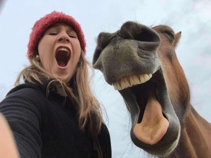 Girl and Horse Both With Mouths Open