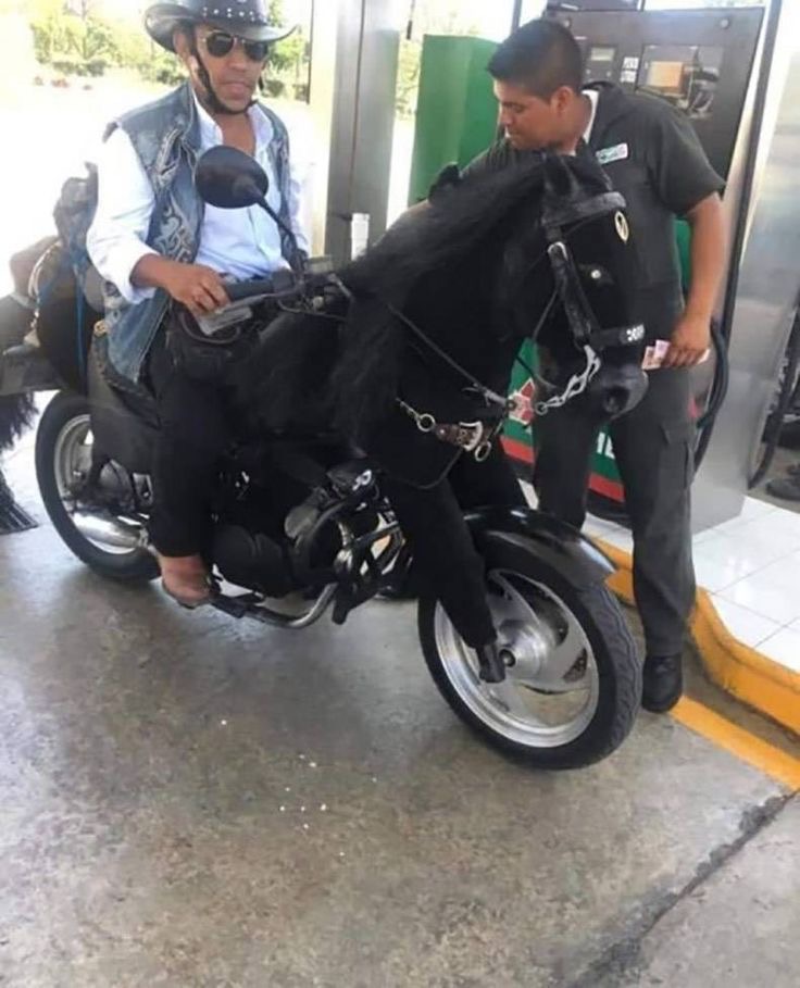 Motorcycle with a Horse Front