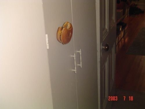 A Hamburger Stuck to a Door