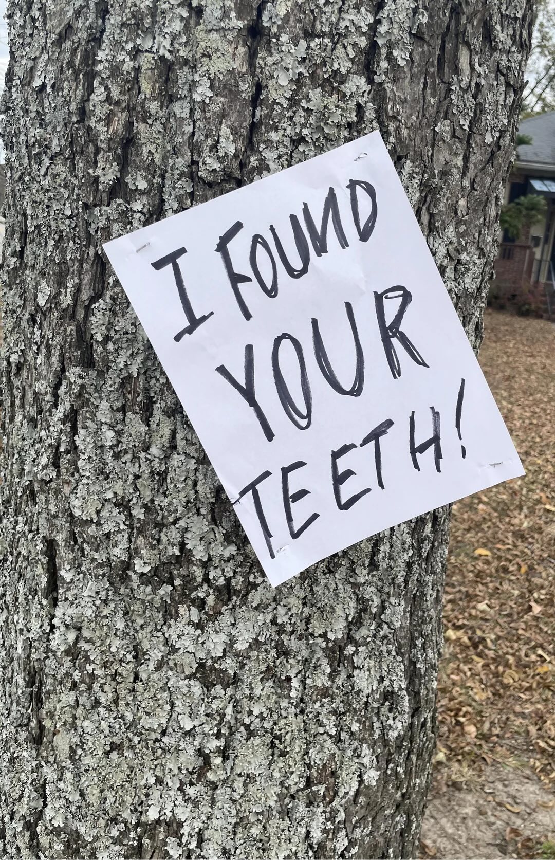 Found your teeth
