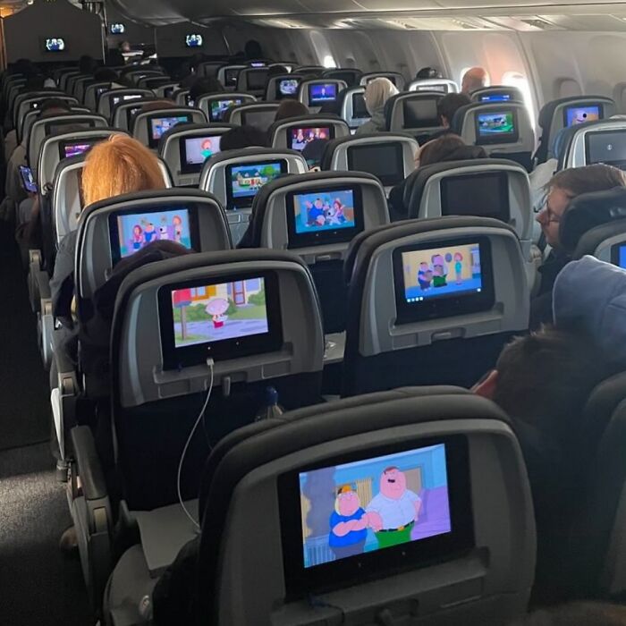 Family Guy airlines