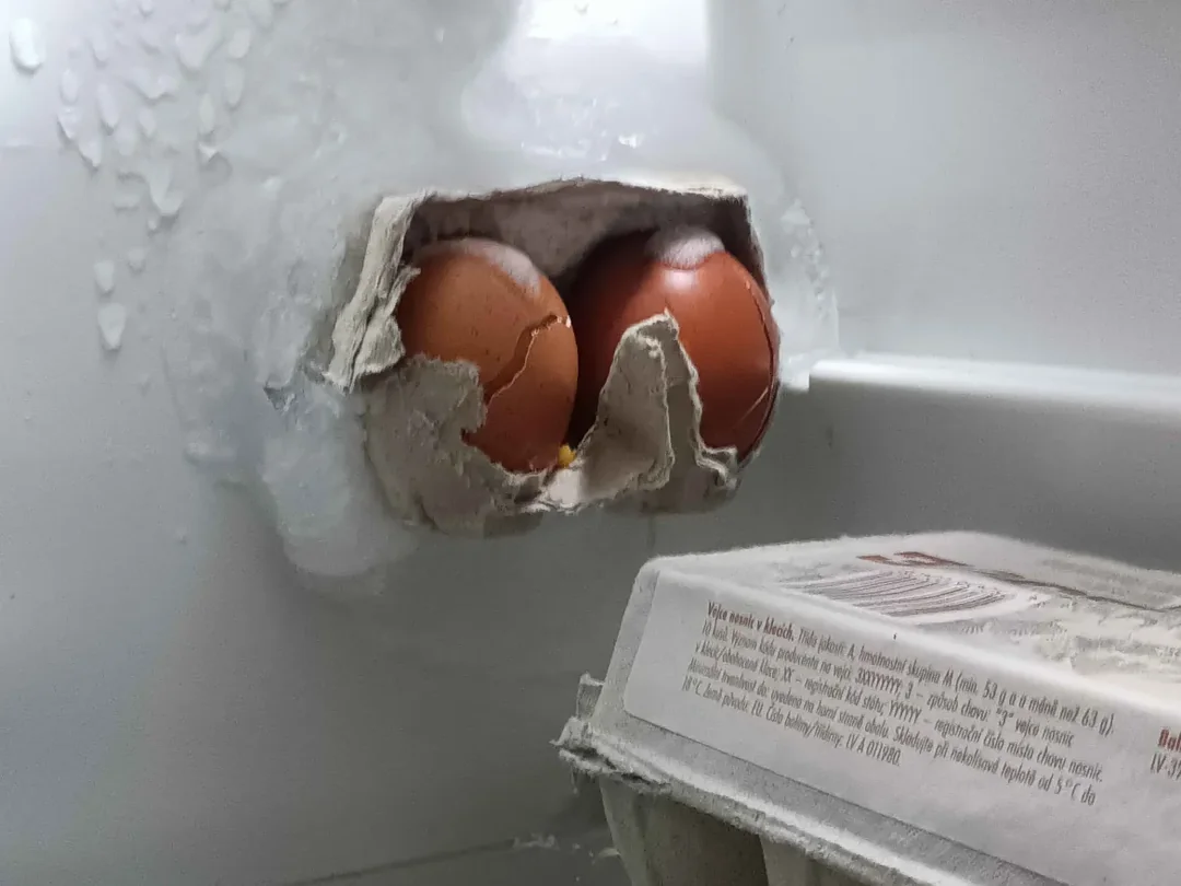 Eggs breaking free